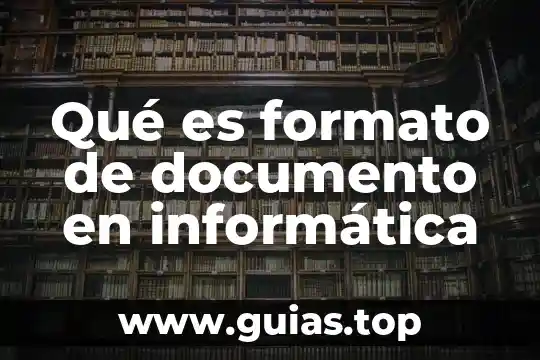 Que es sploits en informatica 3 Qué es formato de documento en informática