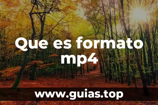 Formato edd que es 7 Que es formato mp4