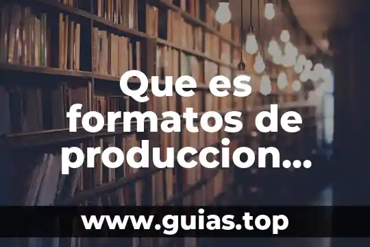 Que es un proyecto de produccion 3 Que es formatos de produccion para almacenaje
