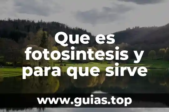 Que es la fotosintesis que necesita la planta para realizarla 8 Que es fotosintesis y para que sirve