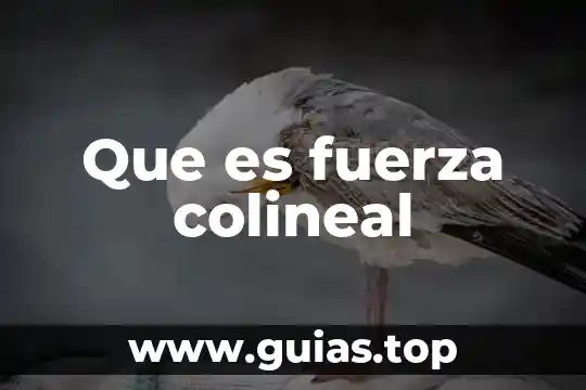 Lógica aristotélica que es 3 Que es fuerza colineal