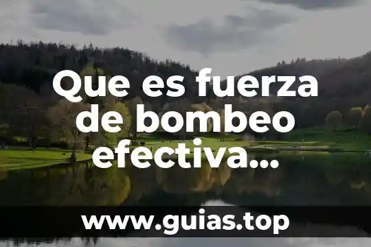 Que es ser de izquierda o derecha 7 Que es fuerza de bombeo efectiva ventricular izquierda
