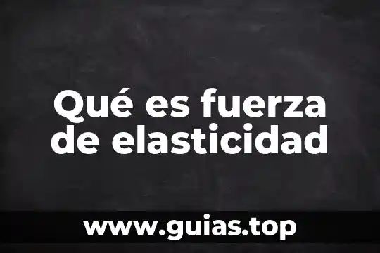 Que es la elasticidad en economia tipos 4 Qué es fuerza de elasticidad