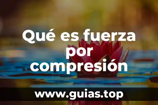 Que es la muerte definicion filosofica 4 Qué es fuerza por compresión