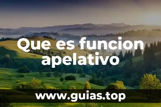 Que es la funcion recientes en excel 5 Que es funcion apelativo