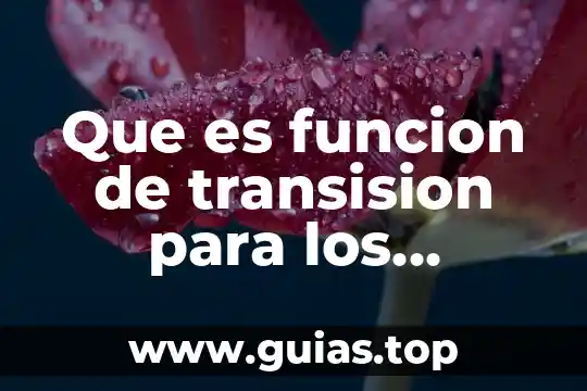 Que es funcion de transision para los automatas