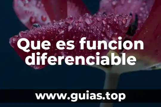 Qué es psicología yood 4 Que es funcion diferenciable