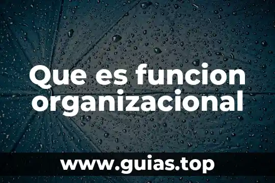 Que es la funcion expresiva y sintomatica 6 Que es funcion organizacional