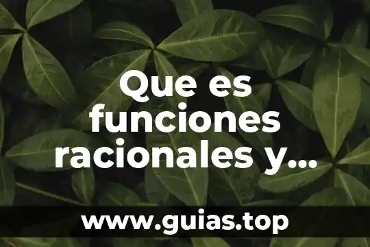 Que es la celula animal estructura partes y funciones 6 Que es funciones racionales y asintotas