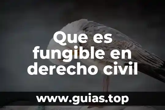 Que es el perjuicio en derecho civil 4 Que es fungible en derecho civil