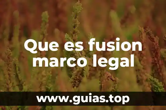 Que es ser representante legal 7 Que es fusion marco legal