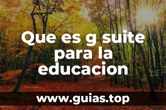 Que es un talle g en méxico 5 Que es g suite para la educacion