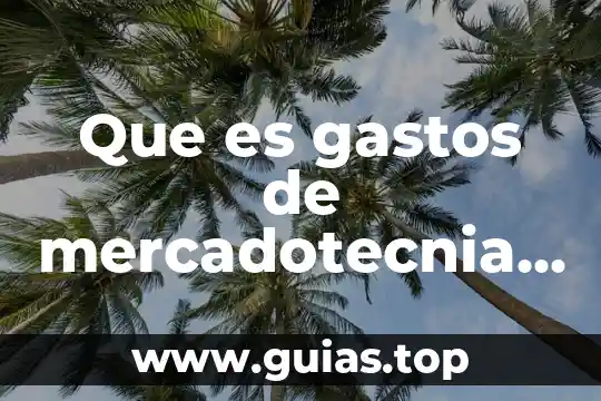 Que es mercadotecnia y sus tipos 4 Que es gastos de mercadotecnia en contabilidad
