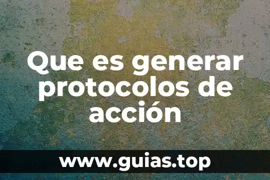 Qué es la auditoria y tipos 5 Que es generar protocolos de acción