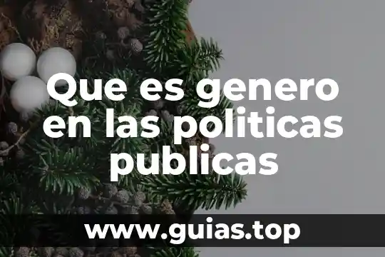Que es una clausula de intangibilidad y desiciones politicas fundamentales 6 Que es genero en las politicas publicas