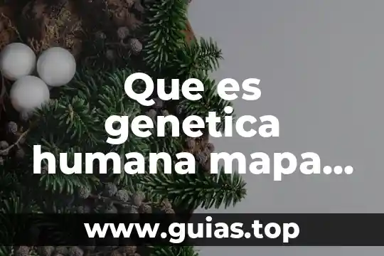 Característica genética que es 6 Que es genetica humana mapa mental