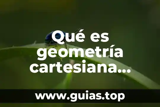 Concepto que es desarrollo 8 Qué es geometría cartesiana concepto
