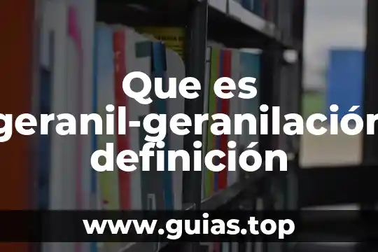 Qué es definición del problema en programación 3 Que es geranil-geranilación definición