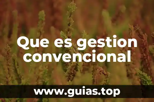 Que es un sistema de gestion medioambiental 4 Que es gestion convencional