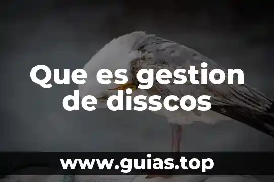 Que es gestion convencional 7 Que es gestion de disscos