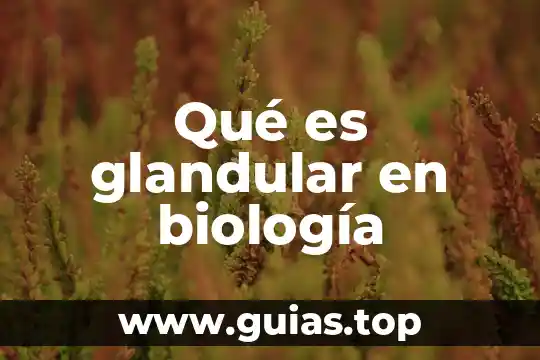 Qué es filética en biología 7 Qué es glandular en biología