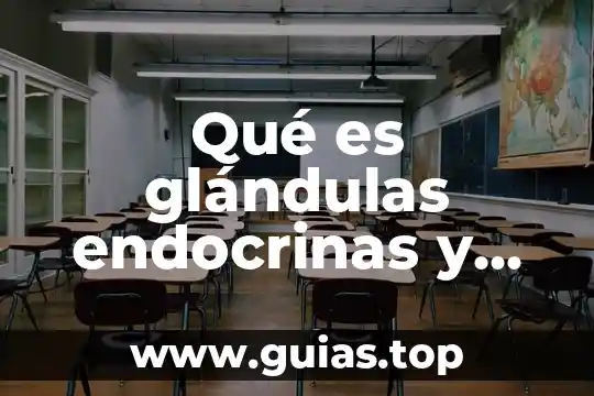 Que es una funcion inyectiva concepto 3 Qué es glándulas endocrinas y su función