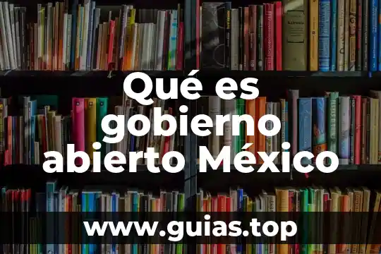 Que es el testamento abierto méxico 3 Qué es gobierno abierto México