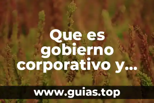 Qué es la manga elementos 7 Que es gobierno corporativo y sus elementos que deben cumplir