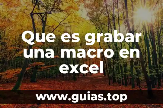 Que es grabar una macro en excel