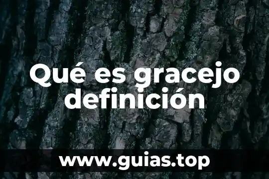 Qué es la filosofía definición 4 Qué es gracejo definición