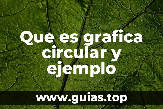 Qué es antilogía concepto y ejemplo 5 Que es grafica circular y ejemplo