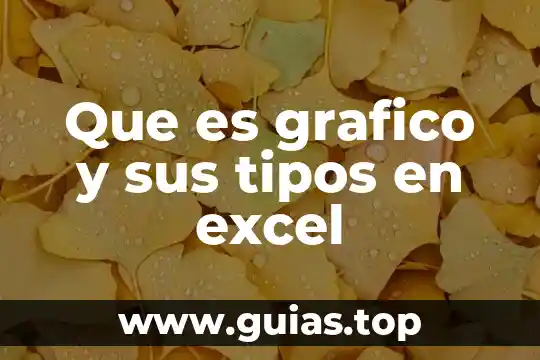 Que es informacion de pantalla en excel 3 Que es grafico y sus tipos en excel