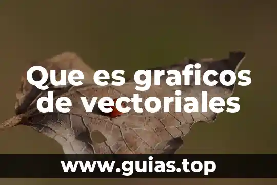 Que es la planta de jitomate 5 Que es graficos de vectoriales