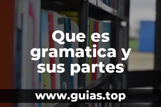 Que es un octaedro y sus partes 6 Que es gramatica y sus partes
