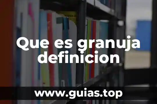 Que es la definición de un proyecto 6 Que es granuja definicion