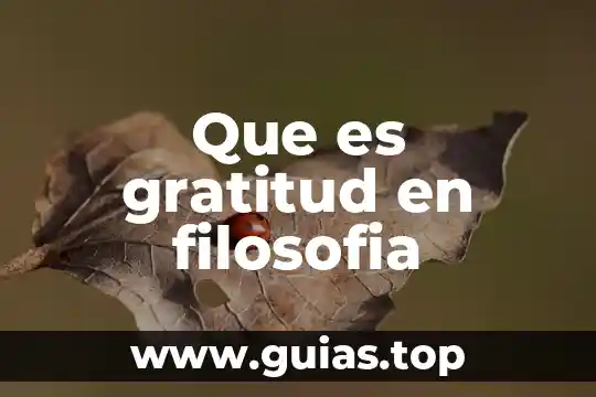 Que es el ser como sustantivo filosofia 6 Que es gratitud en filosofia
