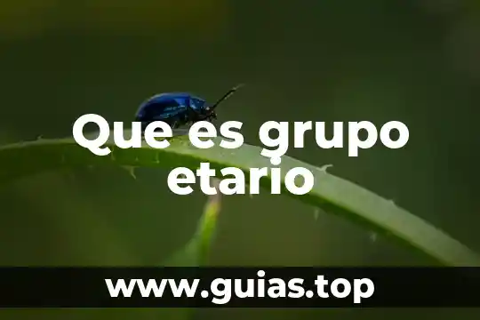 Que es grupo alsea 5 Que es grupo etario
