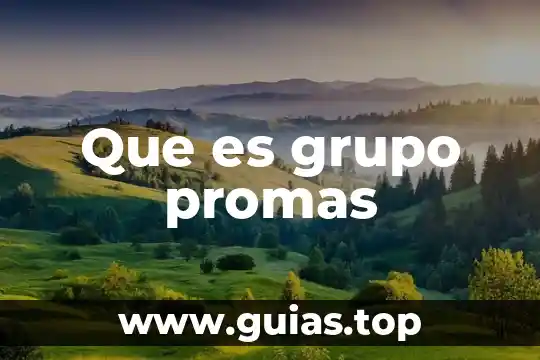 Que es un grupo de conciencia ambiental 3 Que es grupo promas