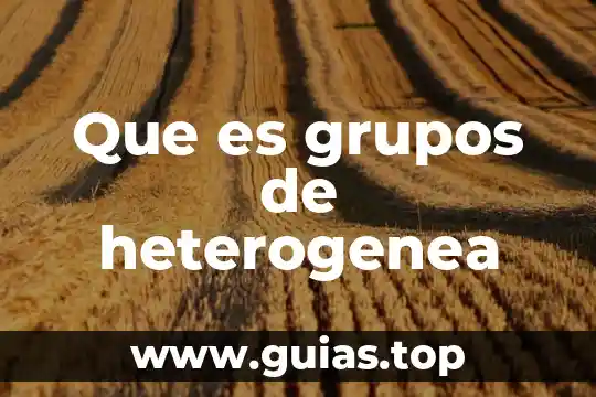Que es la evaluacion de los grupos de trabajo 4 Que es grupos de heterogenea