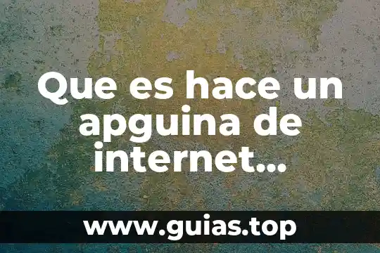 Que es la red de internet y tipos 8 Que es hace un apguina de internet responsiva