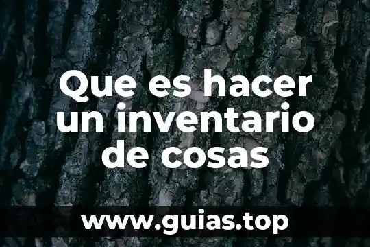 Cosas que es dificil y no se puede ser juegagerman 7 Que es hacer un inventario de cosas