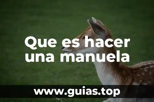 Que es hacer una precuela 8 Que es hacer una manuela
