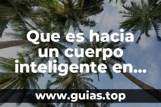 Que es la violencia verbal hacia la mujer 3 Que es hacia un cuerpo inteligente en la escuela