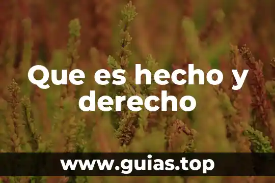 Que es el derecho ala libertad e igualdad 7 Que es hecho y derecho
