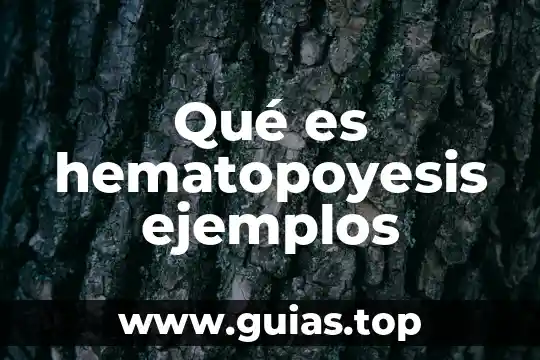 Ejemplos que es infraestructura 7 Qué es hematopoyesis ejemplos
