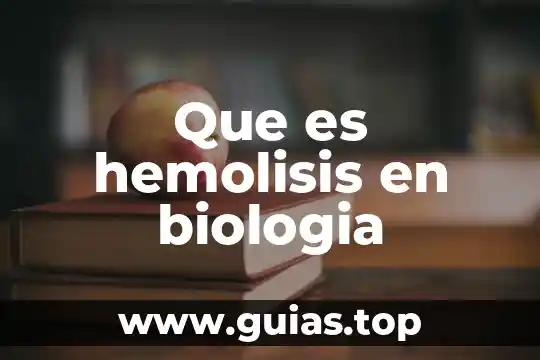 Tipos de distribución uniforme para qué es biología 7 Que es hemolisis en biologia