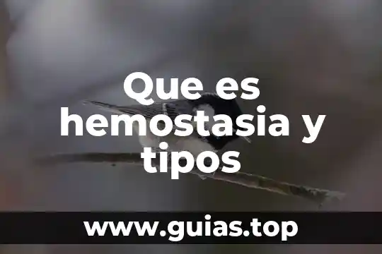 Libro español que es la lectura y tipos 4 Que es hemostasia y tipos