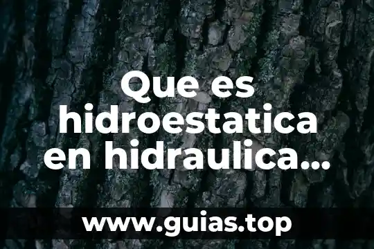 Que es un ente en contabilidad ejemplos 5 Que es hidroestatica en hidraulica ejemplos
