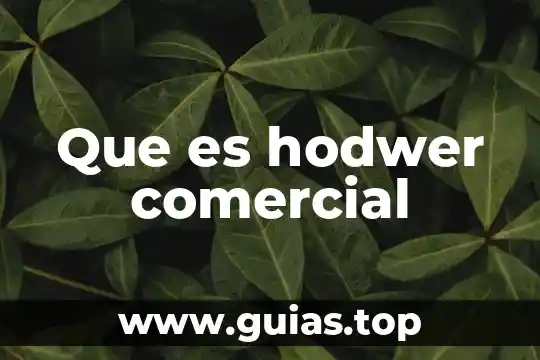 Qué es tococirugía definición 5 Que es hodwer comercial