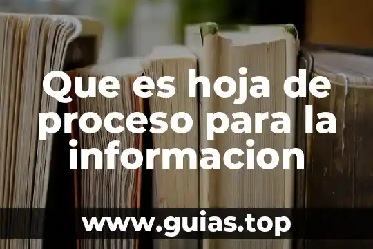 Que es el la hoja de la planta 6 Que es hoja de proceso para la informacion